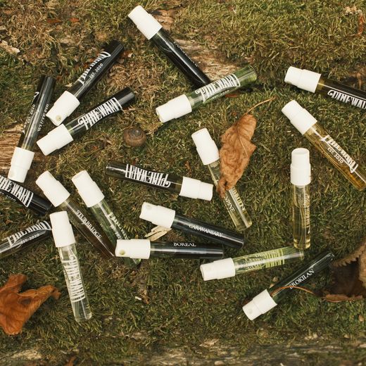 Pineward sample vials scattered on grass and leaves