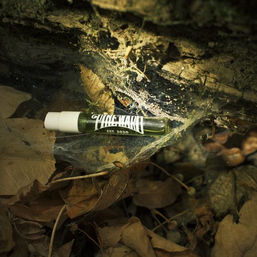 A Pineward sample vial on fallen leaves, under cobwebs