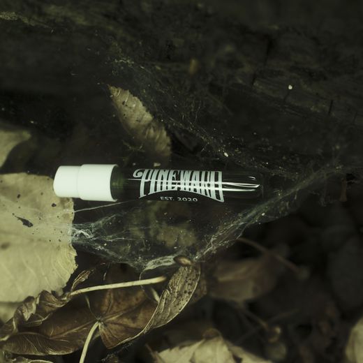 A Pineward sample vial among leaves, under cobwebs