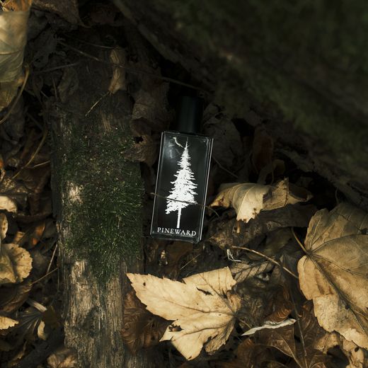 A Pineward bottle standing against a log among leaves