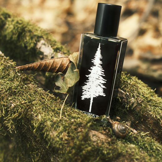 A Pineward bottle on a mossy log