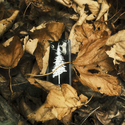 A Pineward bottle among dry fallen leaves
