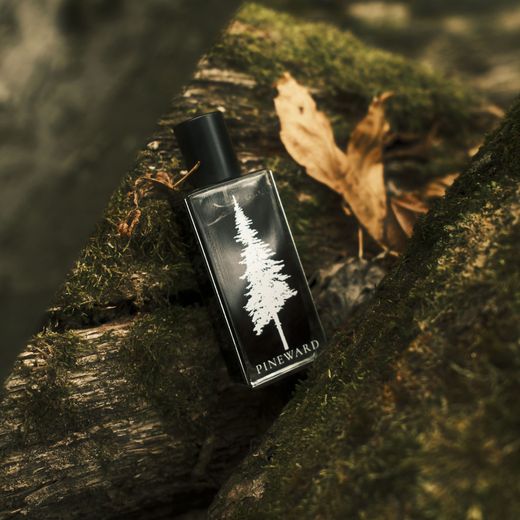 A Pineward bottle between mossy logs