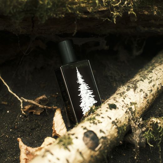 A Pineward bottle beside a birch branch