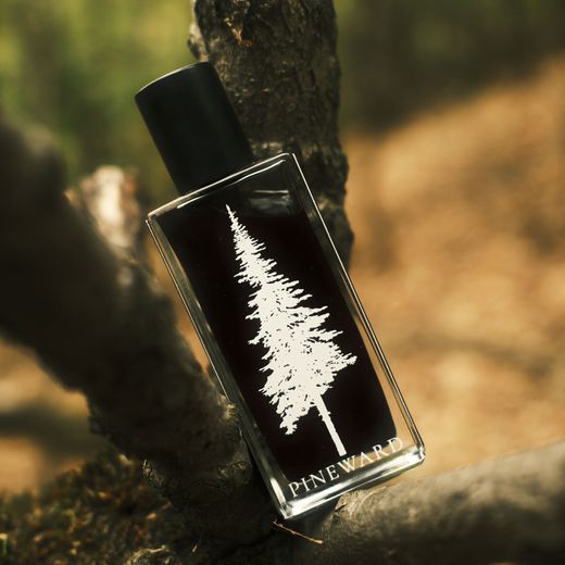 A Pineward bottle leaning in the fork of a branch, close up