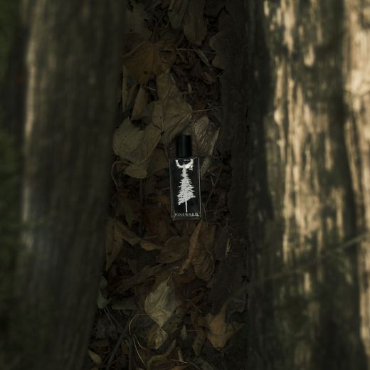A small Pineward bottle between two tree trunks
