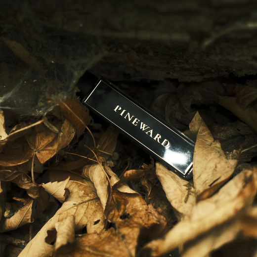 A Pineward bottle, its name down its side, in dry leaves